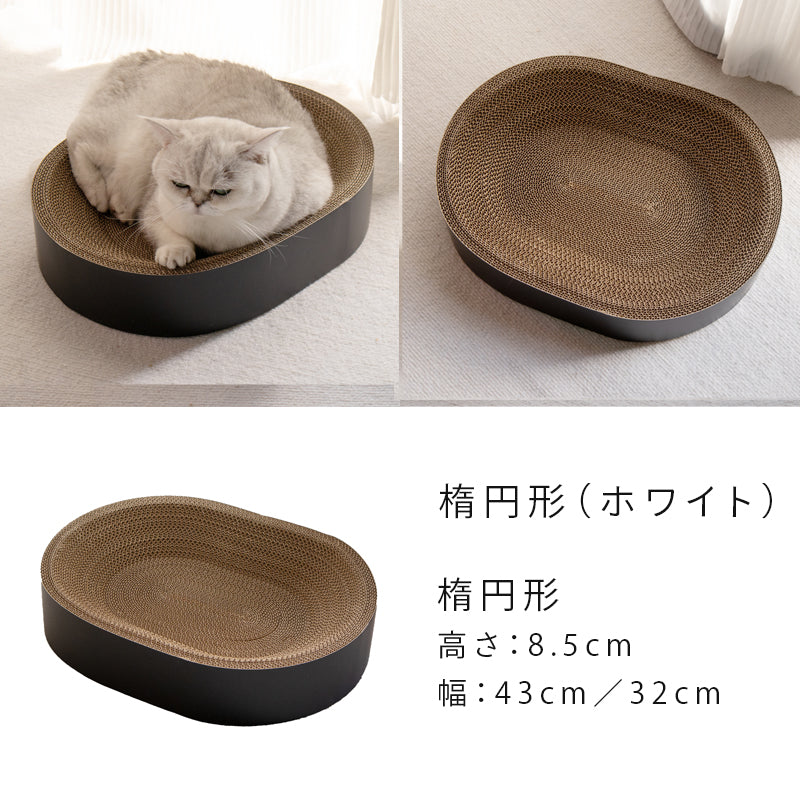 猫の爪研ぎ (定期テスト)