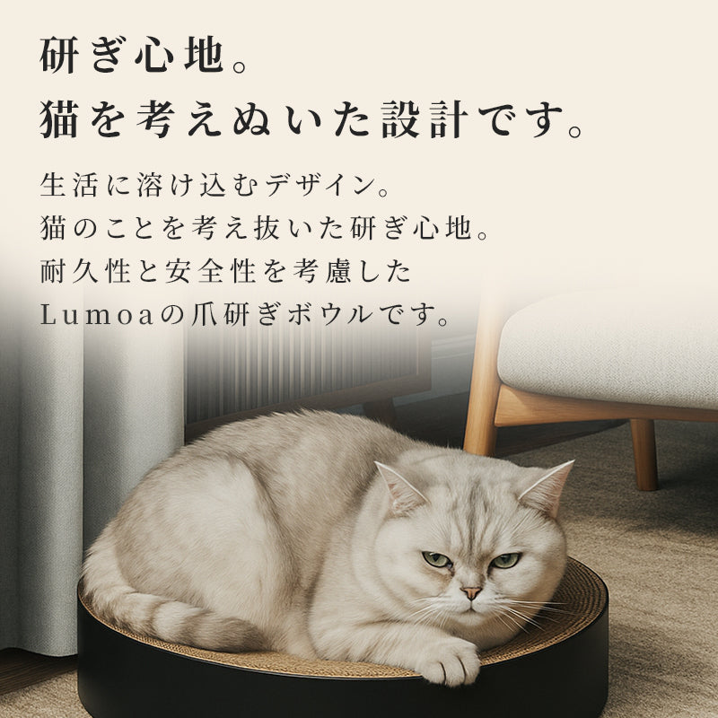 猫の爪研ぎ