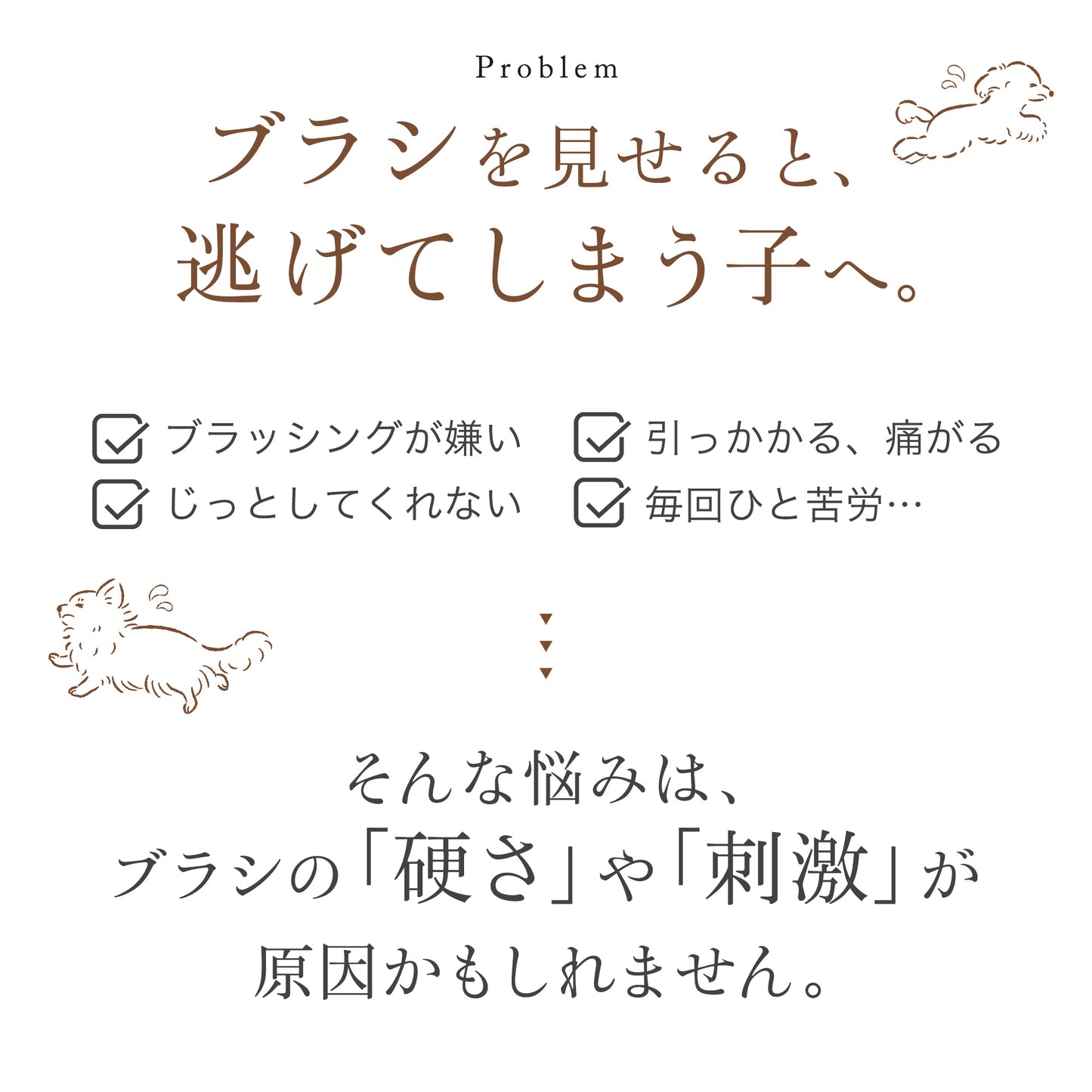 Lumoaペット用ブラシ