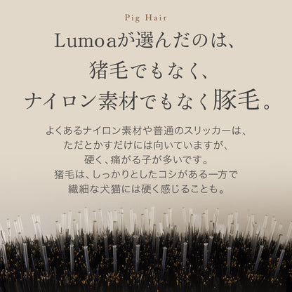 Lumoaペット用ブラシ