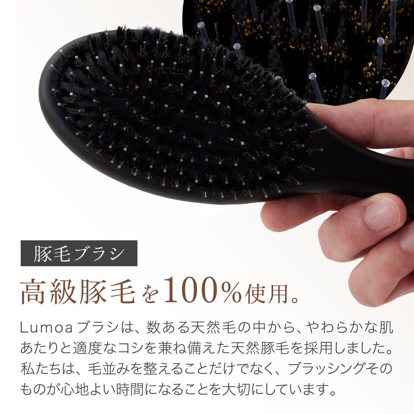Lumoaペット用ブラシ