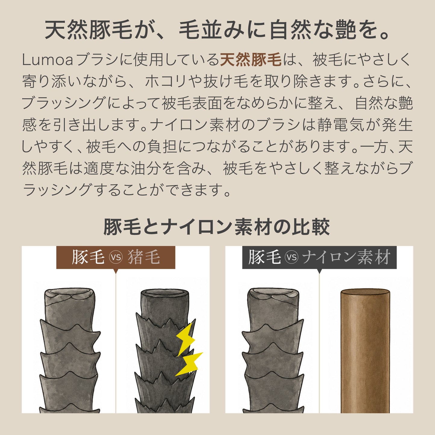 Lumoaペット用ブラシ